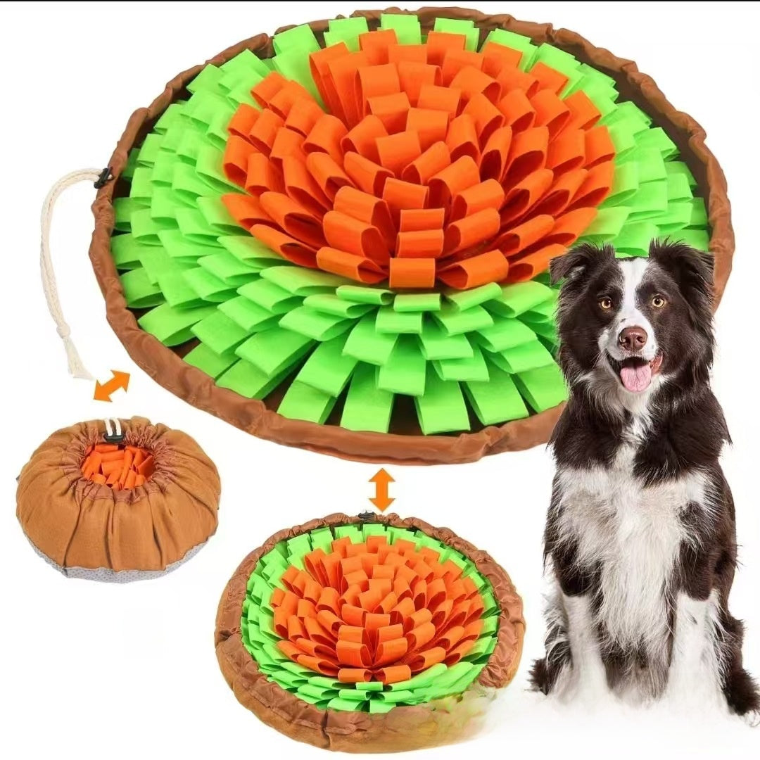 Interactive Pet Foraging Mat Slow Feeder Puzzle Toy